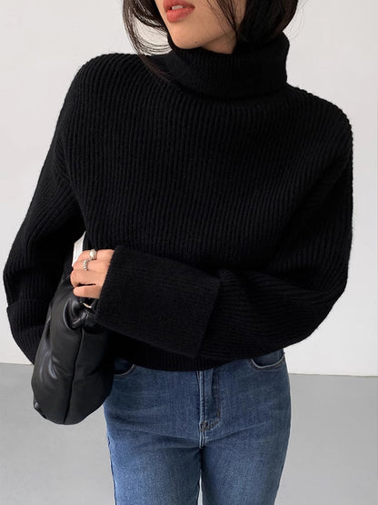 Turtleneck Ribbed Warm Sweater