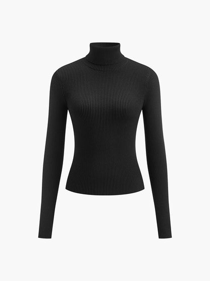 Minimalist Turtleneck Slim Knit Top